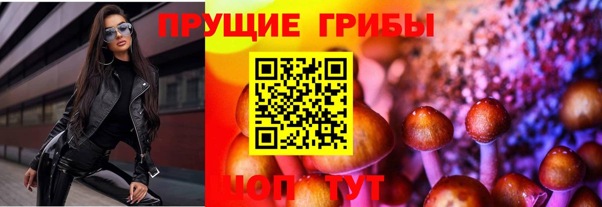 Галлюциногенные грибы мицелий  продажа наркотиков  Омск  Вход с VPN 